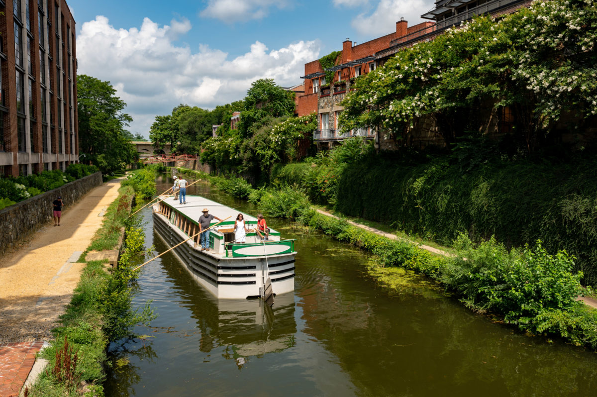 boat tours georgetown