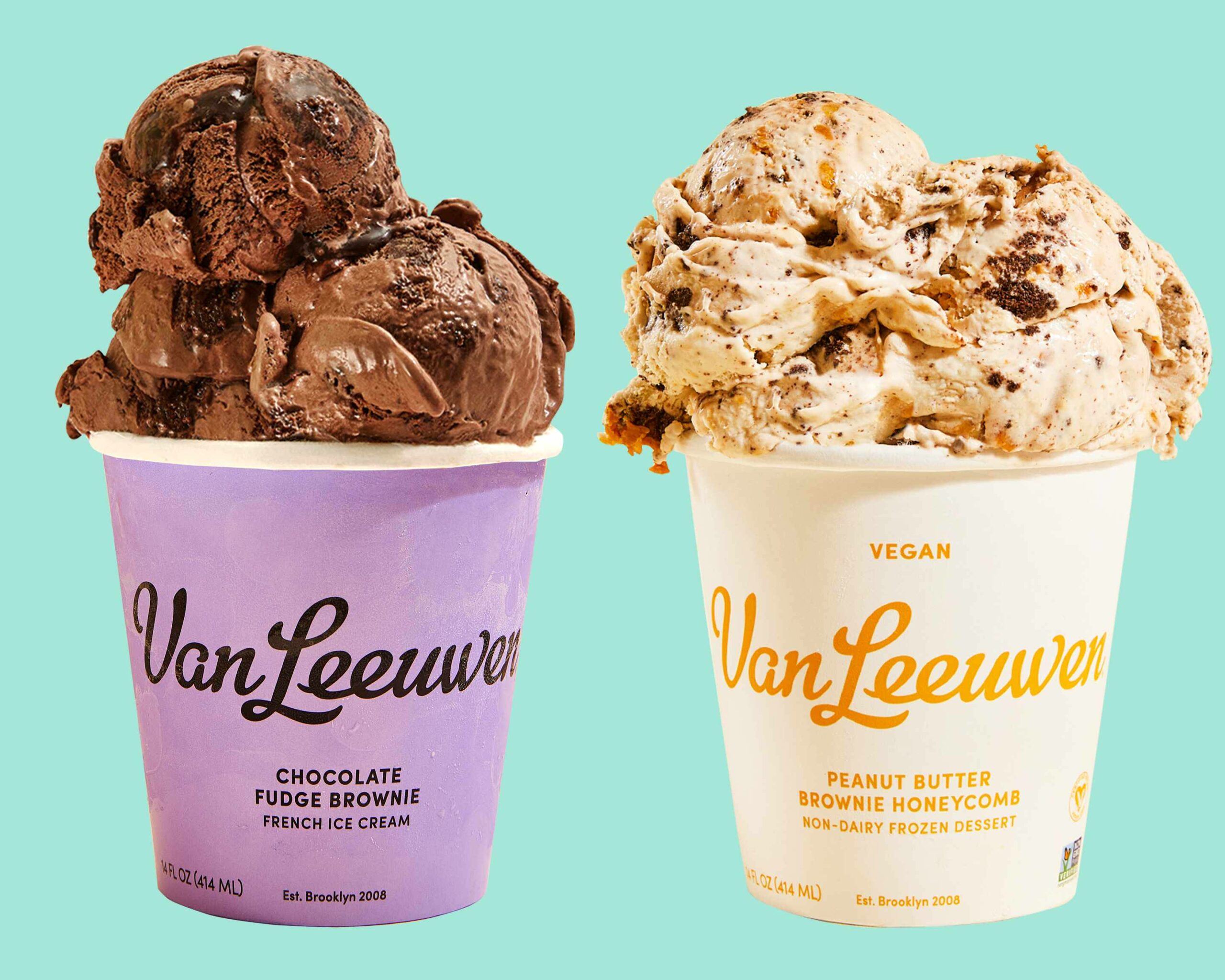 van leeuwen ice cream business plan